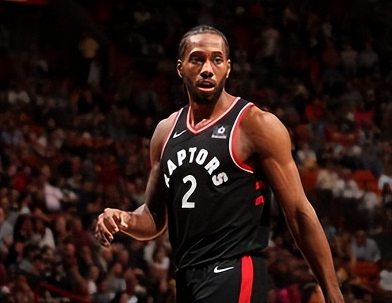 稀释俱乐部 稀释俱乐部